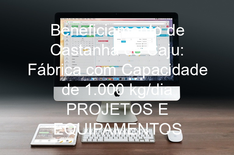 Beneficiamento de Castanha de Caju: Fábrica com Capacidade de 1.000 kg/dia PROJETOS E EQUIPAMENTOS