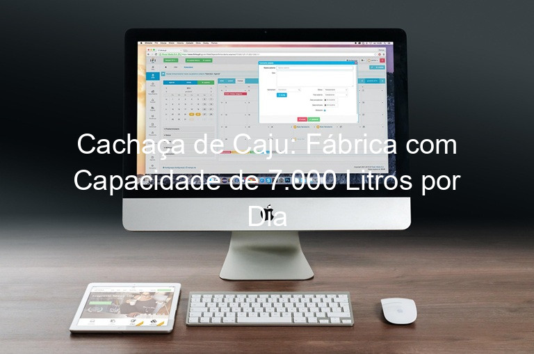 Cachaça de Caju: Fábrica com Capacidade de 7.000 Litros por Dia