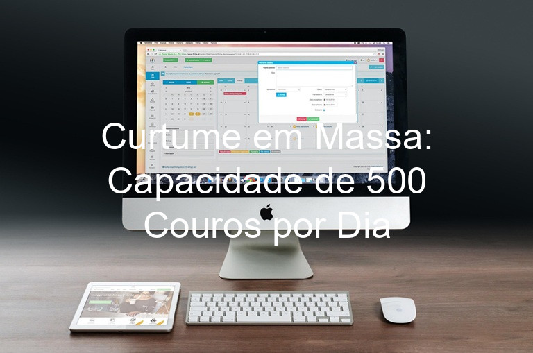Curtume em Massa: Capacidade de 500 Couros por Dia