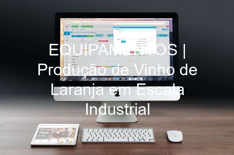 EQUIPAMENTOS | Produção de Vinho de Laranja em Escala Industrial