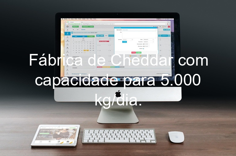 Fábrica de Cheddar com capacidade para 5.000 kg/dia.