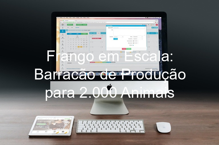 Frango em Escala: Barracão de Produção para 2.000 Animais