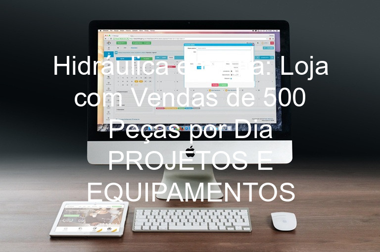 Hidráulica em Alta: Loja com Vendas de 500 Peças por Dia PROJETOS E EQUIPAMENTOS