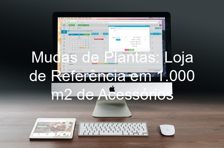 Mudas de Plantas: Loja de Referência em 1.000 m2 de Acessórios